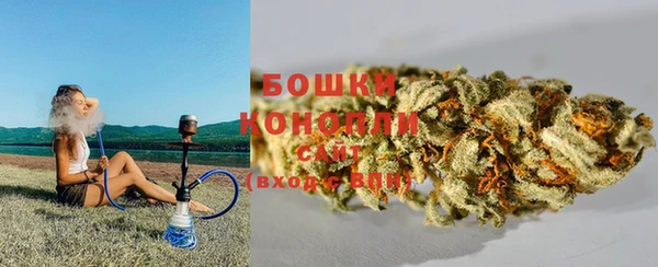2c-b Рославль
