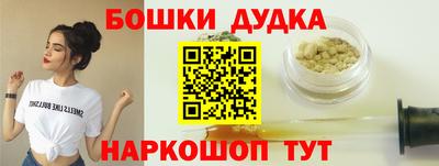 индика Абакан