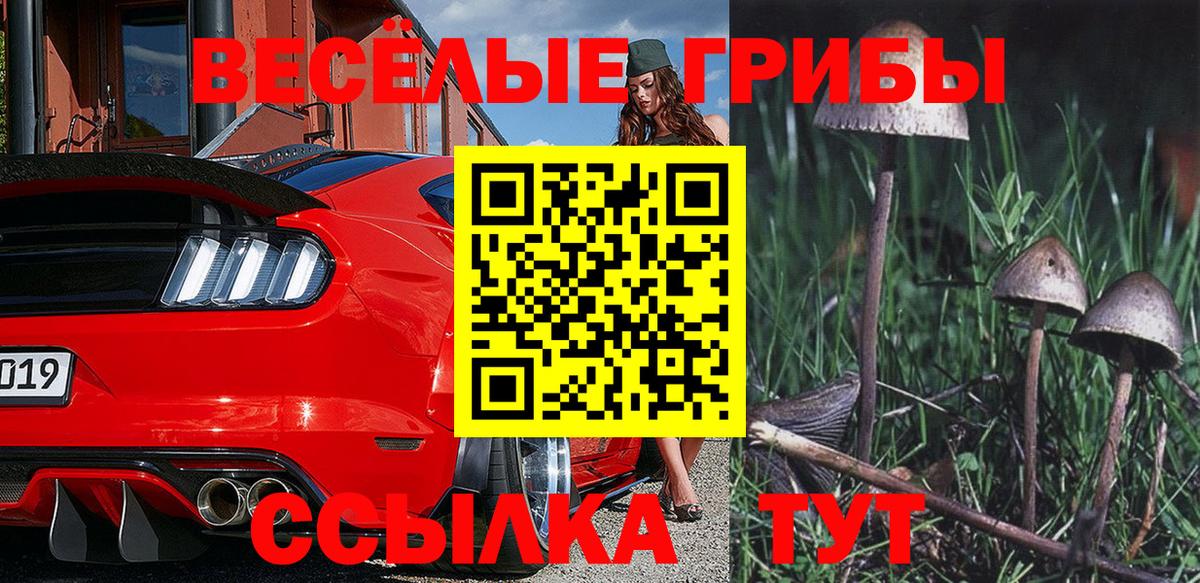 Галлюциногенные грибы мухоморы Апатиты