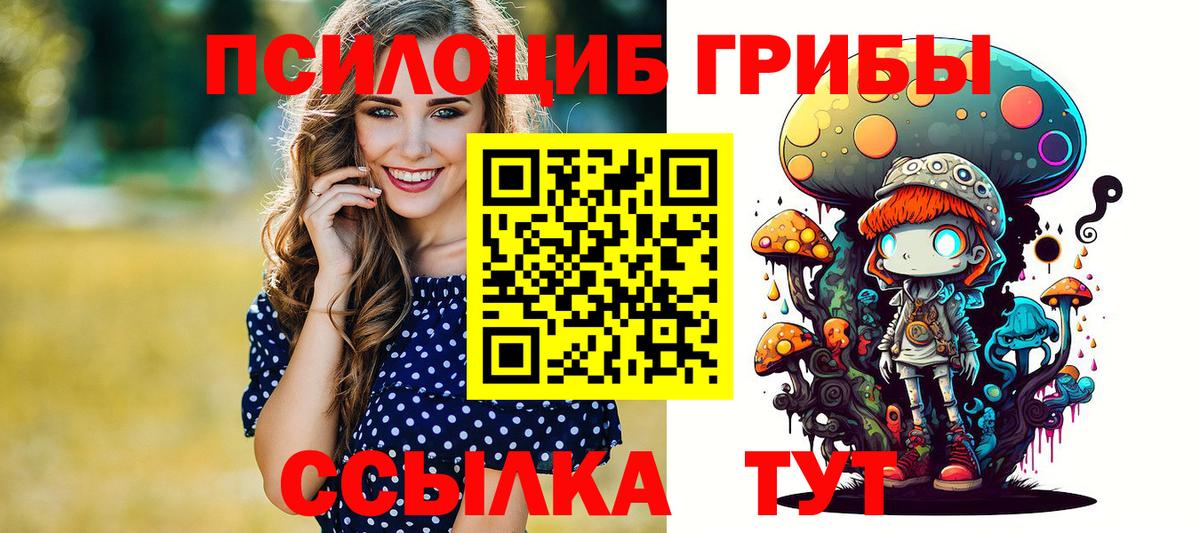 Галлюциногенные грибы прущие грибы Апатиты