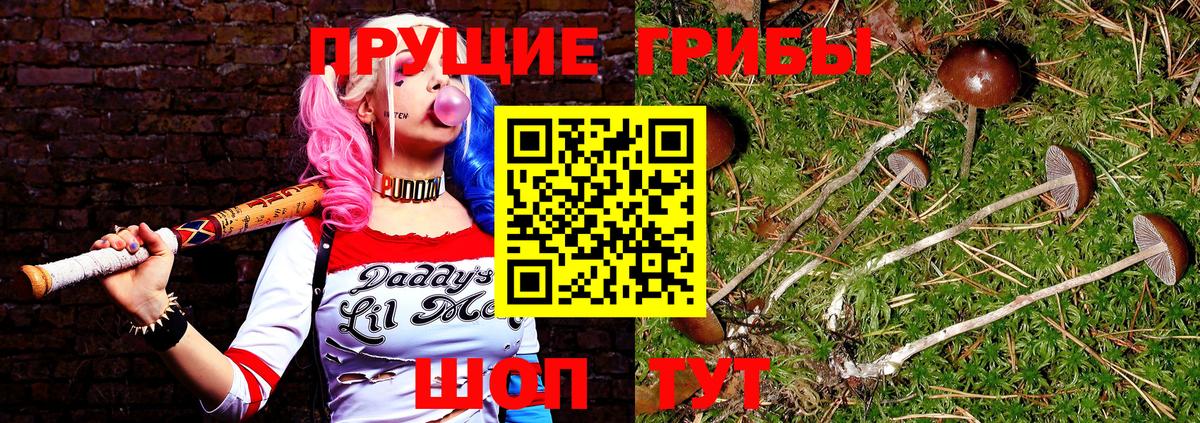 Псилоцибиновые грибы мицелий  Апатиты 